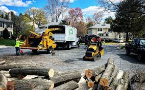 Best Pest Control for Lawns  in Compo, CT